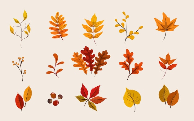 Un Ensemble De Feuilles En Automne