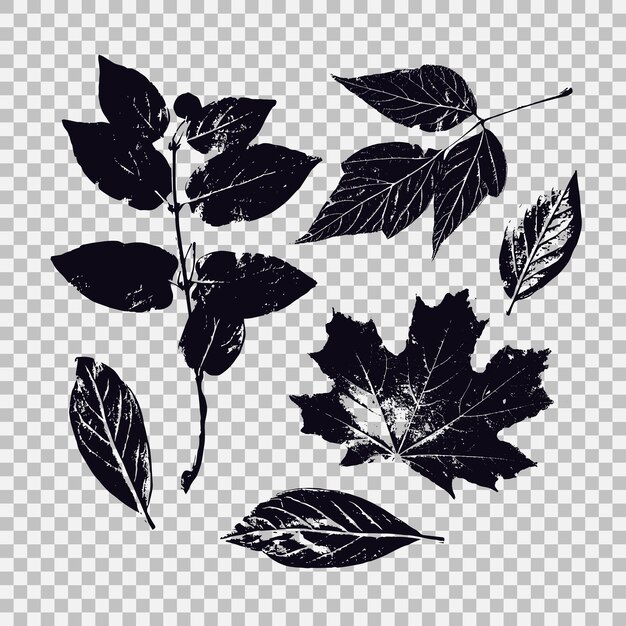Ensemble de feuilles de différents graphiques vectoriels de végétation avec des objets isolés