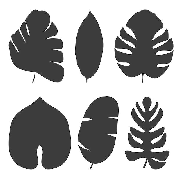 Ensemble de feuilles exotiques tropicales de différents types illustration vectorielle isolée sur fond blanc