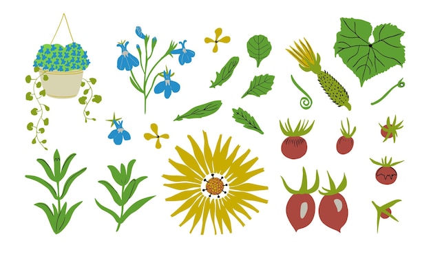 Ensemble De Feuilles Et De Légumes De Fleurs De Jardin Illustration Vectorielle Plantes De Jardin Fleurs Et Fruits