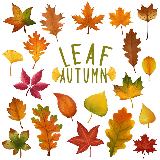 Ensemble de feuilles peintes à l'aquarelle, clipart de feuilles d'automne. Dessiné à la main isolé sur fond blanc.