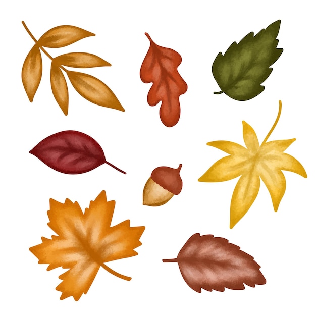 Vecteur ensemble de feuilles rouge, jaune et orange isolées sur fond blanc de la saison d'automne.