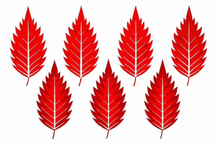 Vecteur un ensemble de feuilles rouges avec le mot " feuille " au bas