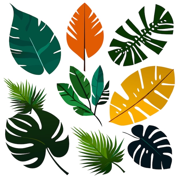 Vecteur ensemble de feuilles tropicales exotiques illustration vectorielle isolée sur fond blanc