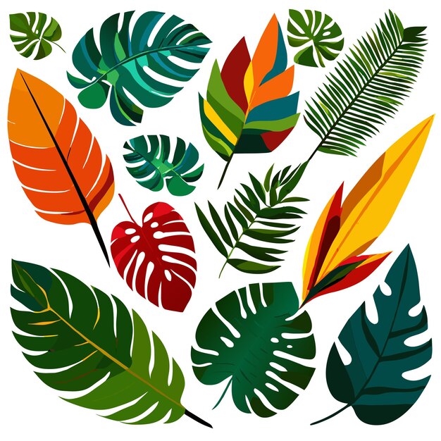 Vecteur ensemble de feuilles tropicales exotiques illustration vectorielle isolée sur fond blanc