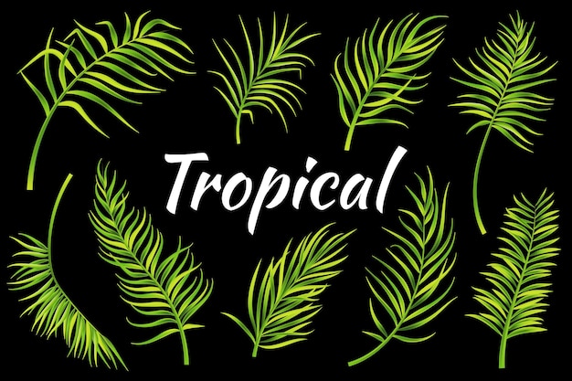 Ensemble de feuilles tropicales Illustration vectorielle