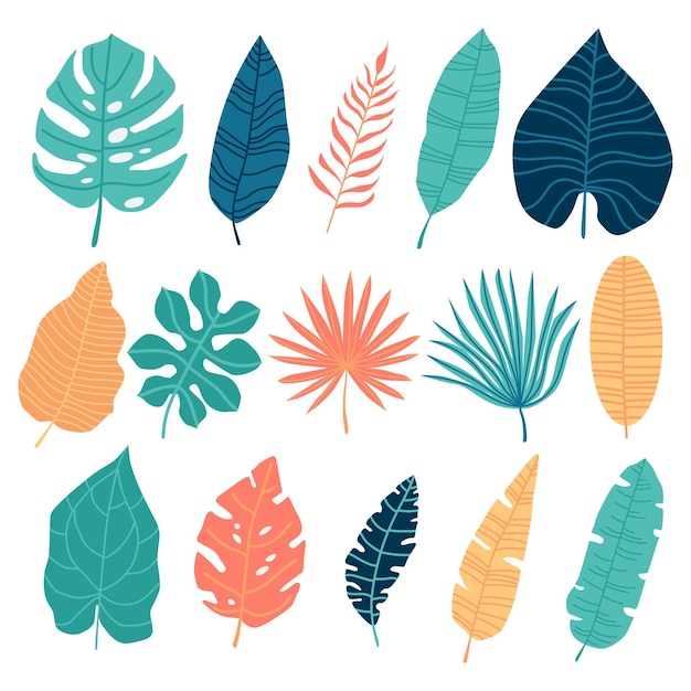 Ensemble de feuilles tropicales isolées sur fond blanc.