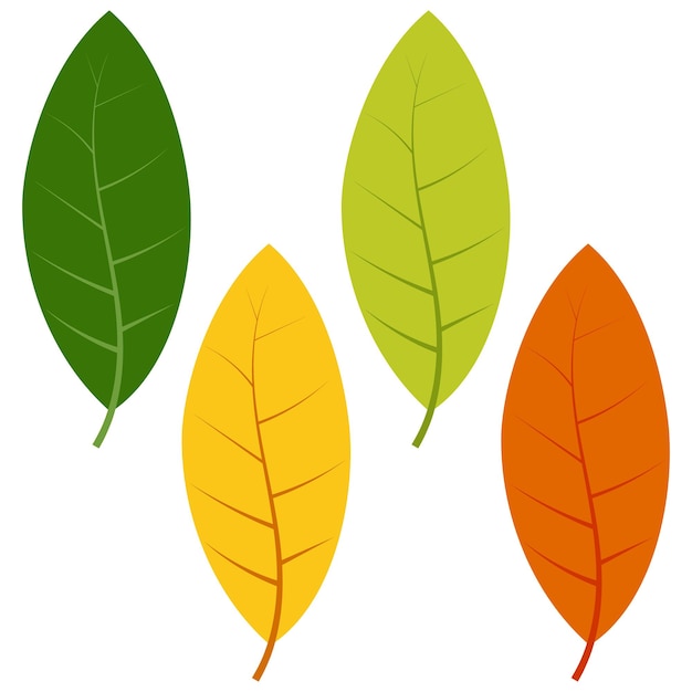 Ensemble De Feuilles Vertes, Jaunes Et Rouges Isolées Sur Fond Blanc. Illustration Vectorielle De Feuilles D'automne.