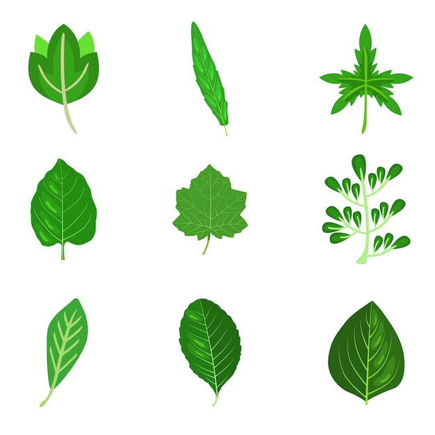 Vecteur un ensemble de feuilles vertes avec le mot arbre sur le dessus.