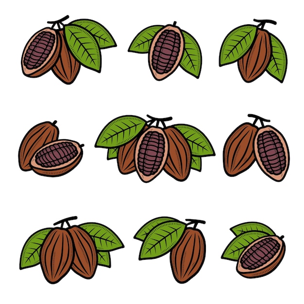 Vecteur ensemble de fèves de cacao. collection d'icônes de fèves de cacao. illustration vectorielle