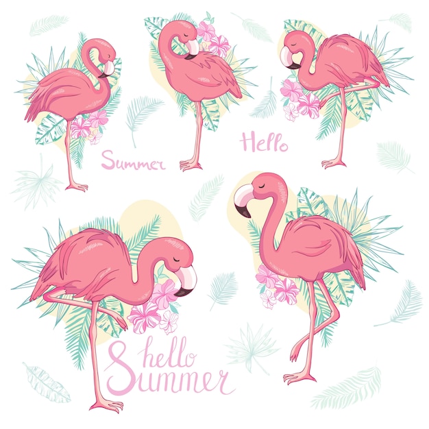 Ensemble De Flamants Roses Exotiques Isolé Sur Fond Blanc.