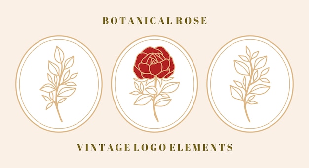 Ensemble De Fleur Rose Botanique Vintage Et élément De Feuille Pour Le Logo Et La Marque De Beauté Féminine