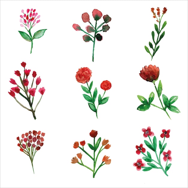 Ensemble De Fleur Rouge Sauvage Et Aquarelle De Feuilles De Printemps Pour Carte De Voeux