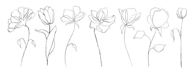 Ensemble de fleurs abstraites d'art de ligne botanique. Feuilles florales de croquis dessinés à la main isolés sur fond blanc. Illustration vectorielle