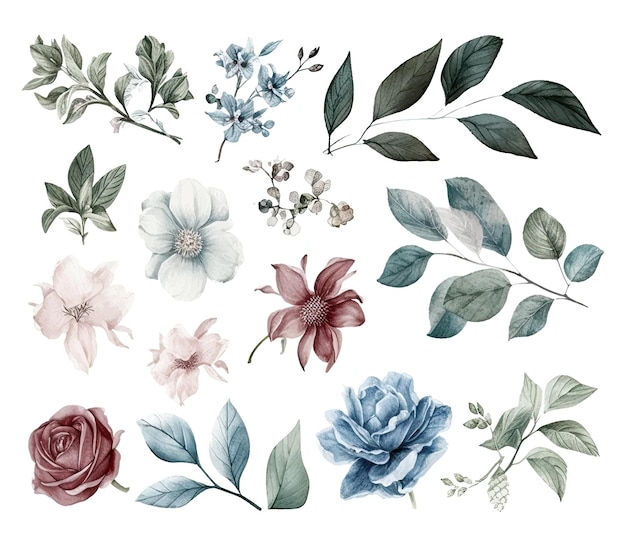 Un ensemble de fleurs à l'aquarelle, de feuilles et de brindilles sur un fond blanc