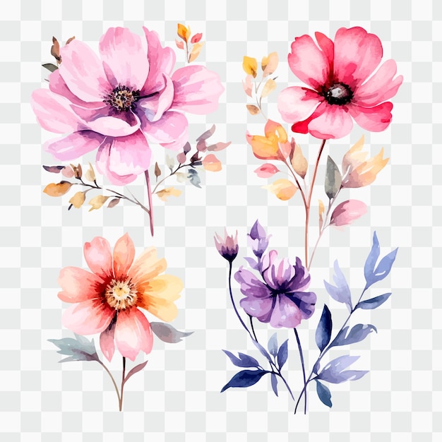 Un ensemble de fleurs aquarelle png clipart