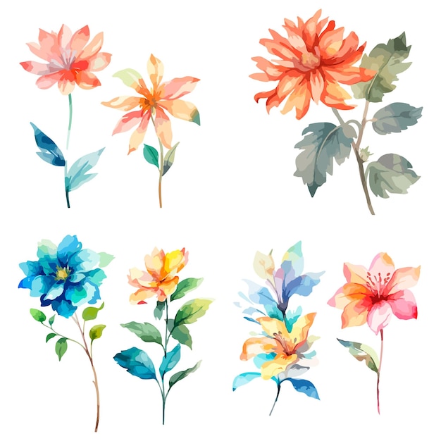 Un ensemble de fleurs aquarelles avec une feuille verte.