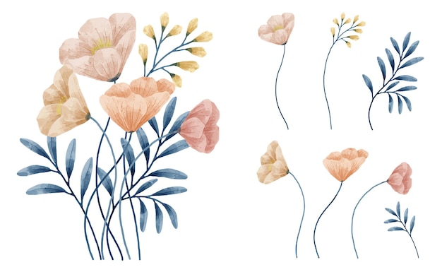 Ensemble De Fleurs Aquarelles