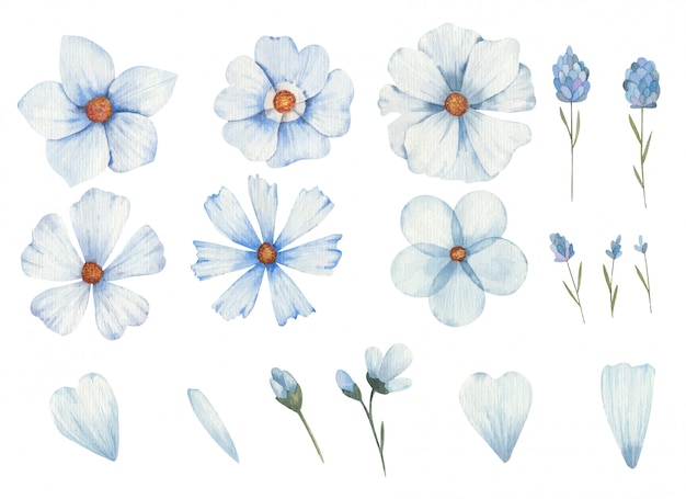 Ensemble De Fleurs Bleues De Différents Types Clipart Illustration Aquarelle Sur Fond Blanc