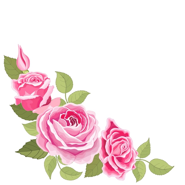 Vecteur ensemble de fleurs la carte élégante rose illustration vectorielle