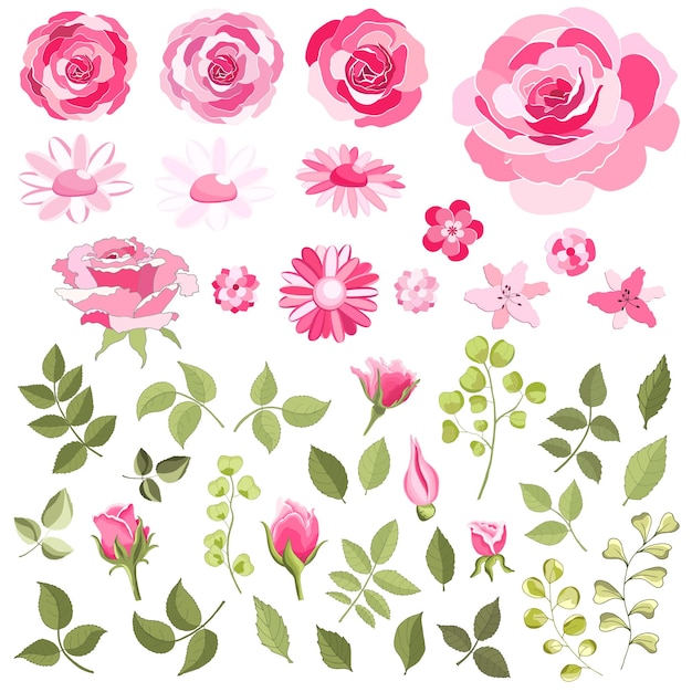 Ensemble De Fleurs La Carte élégante Rose Illustration Vectorielle