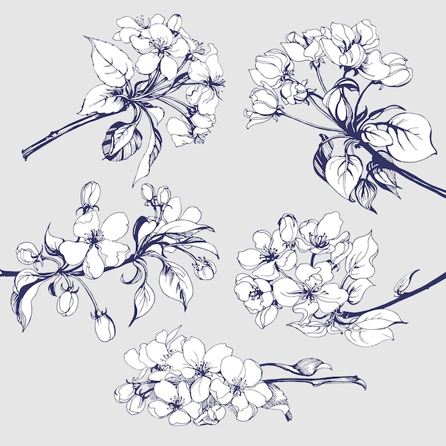 Ensemble De Fleurs Croquis De L'élément De Branche De Pommier En Fleurs Pour Votre Conception Illustration Vectorielle