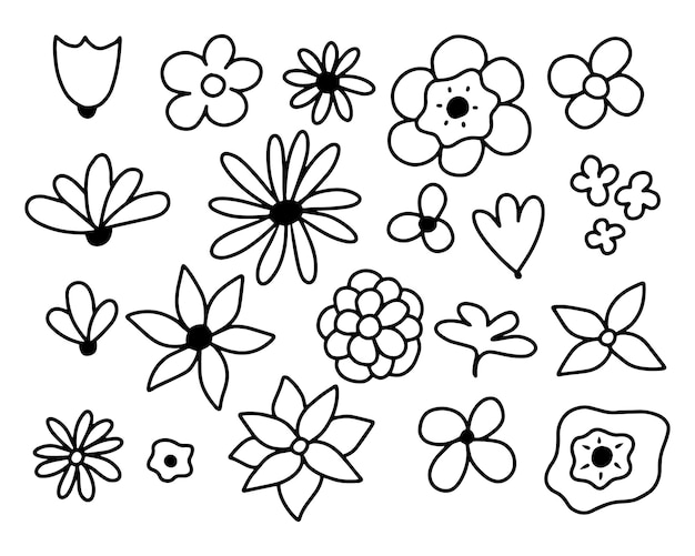 Vecteur ensemble de fleurs dans un style doodle fleurs différentes dans le style de ligne illustration vectorielle collection de fleurs
