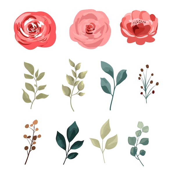Vecteur un ensemble de fleurs et de feuilles aquarelles roses aquarelles