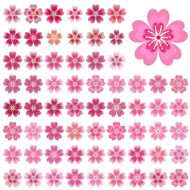 Ensemble De Fleurs Isolées De Sakura Fleurs Roses Et Blanches De Dessin Animé De Cerisier Japonais Illustration De Clip Art Vectoriel