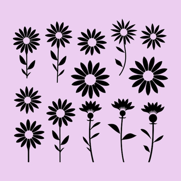 Un Ensemble De Fleurs De Marguerite Vecteur De Silhouette Noire Clip Art