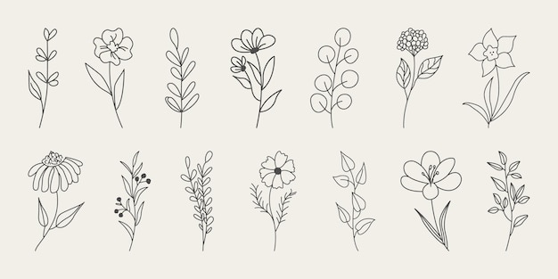 Un Ensemble De Fleurs Minimalistes Dessinées à La Main Avec Des Feuilles élégantes.