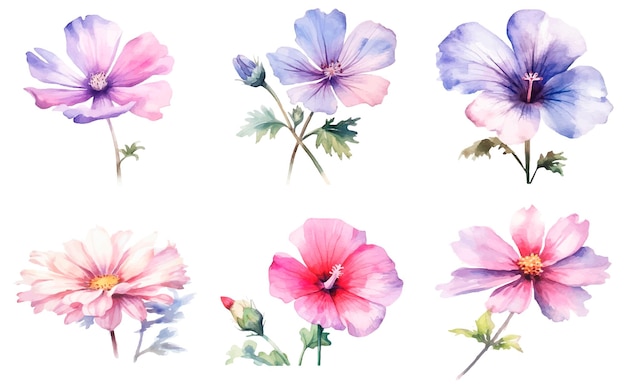 Un ensemble de fleurs peintes à l'aquarelle.