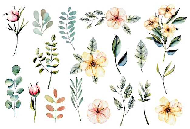 Ensemble de fleurs roses aquarelles et illustration de feuilles