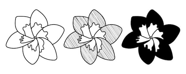 Ensemble De Fleurs De Spa Vectorielles Dessinées à La Main Dans Un Style De Dessin Animé Doodle