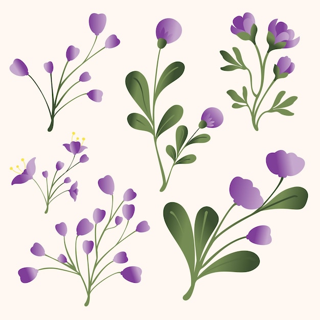 Un ensemble de fleurs violettes sur fond beige.