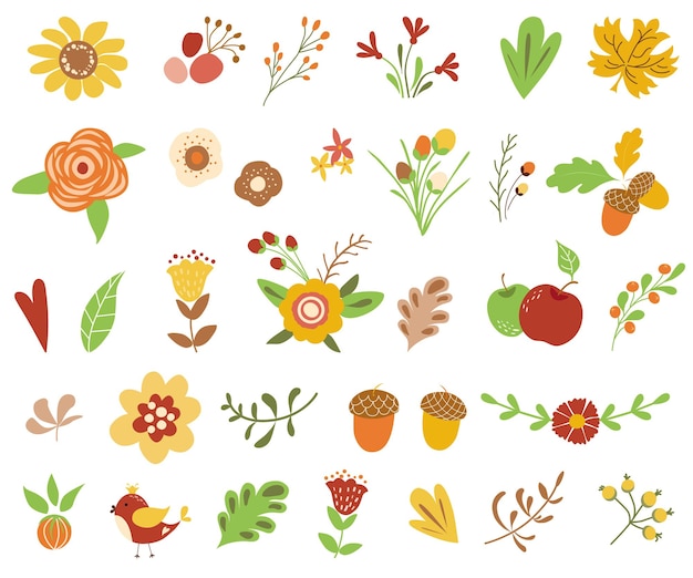 Ensemble Floral D'automne Collection Florale Colorée Avec Des Fleurs En Terre Cuite Jaune Laisse Des Baies De Gland De Pomme éléments Floraux Pour Faire-part De Mariage Clipart Floral D'automne Illustration Vectorielle