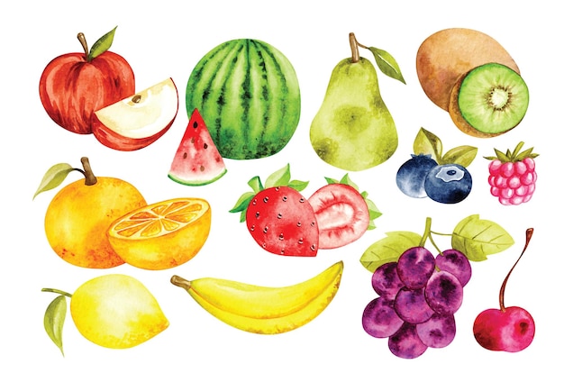 Vecteur ensemble de fruits dans un style aquarelle