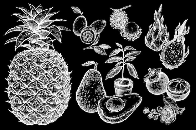 Ensemble De Fruits Exotiques Dans Le Style Des Imprimés Vintage. Craie Blanche Sur Tableau Noir