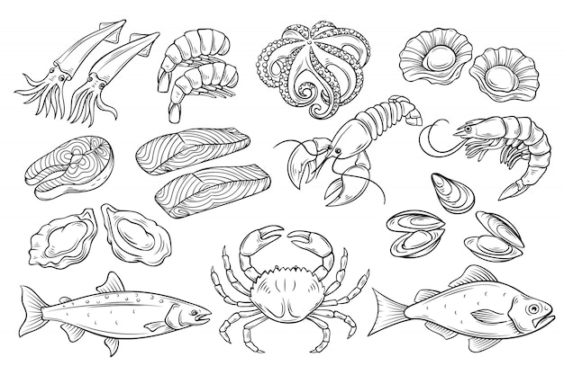 Ensemble de fruits de mer dessinés à la main.