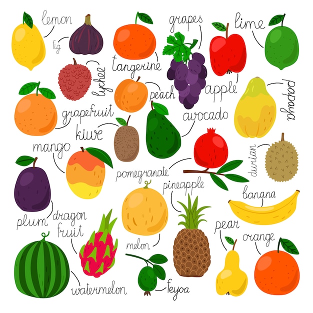 Ensemble De Fruits Tropicaux Avec Signes