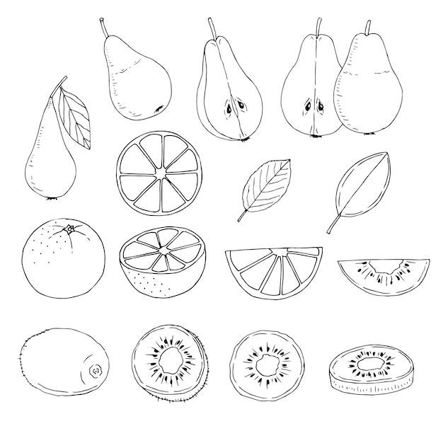 Ensemble De Fruits Vector Illustration Croquis Dessin à La Main