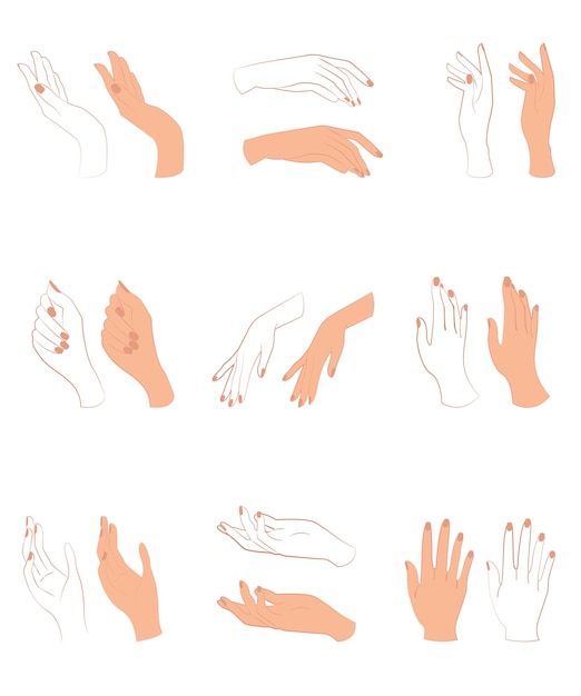 Ensemble de gestes de mains dans le style de griffon isolé gestant les bras humains style linéaire et plat Vector wom