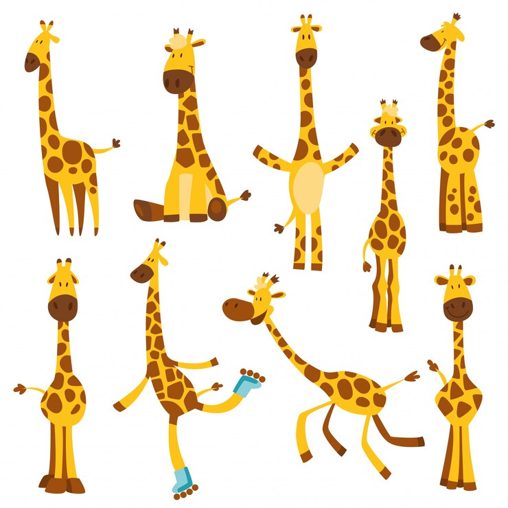 Vecteur ensemble de girafes drôles gaies avec long cou. mètre de hauteur ou mètre mural ou sticker mural de 0 à 150 centimètres pour mesurer la croissance. illustration pour enfants