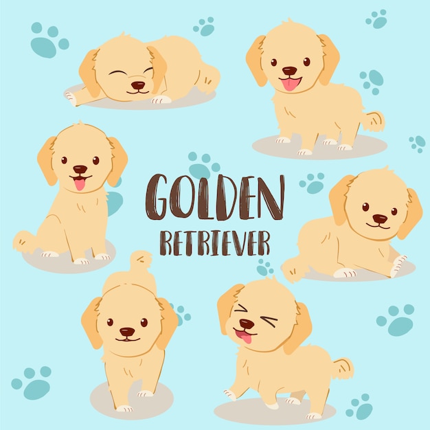 Ensemble Golden Retriever