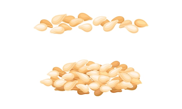 Ensemble de grains de céréales Illustration vectorielle de grains d'orge de blé ou de seigle