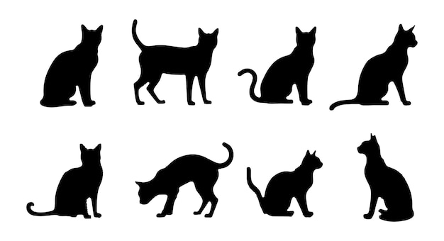 Un ensemble graphique d'animaux de compagnie avec des silhouettes de chats