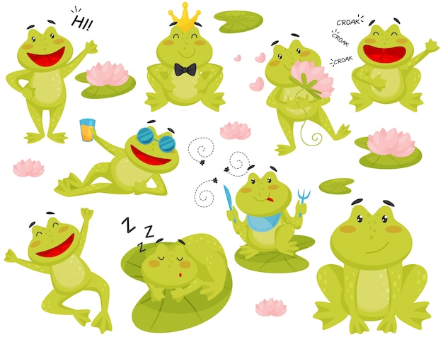 Vecteur ensemble de grenouille dans différentes actions. personnage de dessin animé de crapaud vert drôle