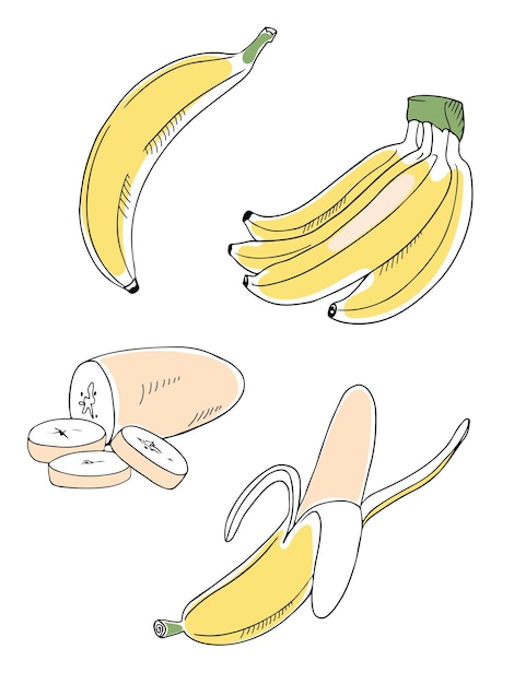 Ensemble De Griffonnages De Bananes, Entières, Coupées En Grappes Et Pelées, Isolées Sur Fond Blanc.