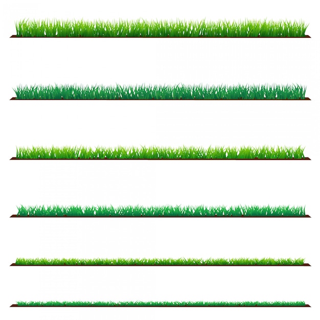 Ensemble D'herbe Verte, Isolé Sur Blanc