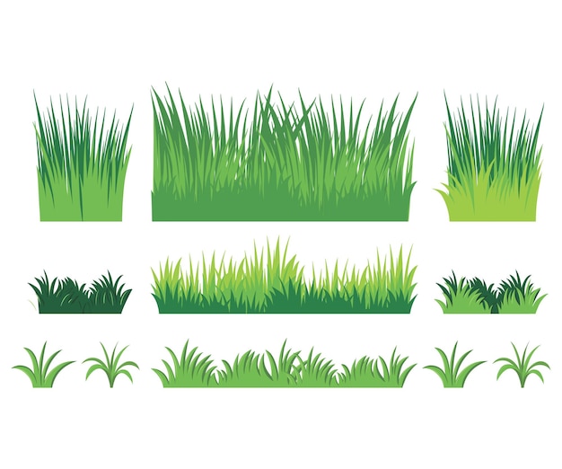 un ensemble d'herbe verte avec les mots herbe sur le fond